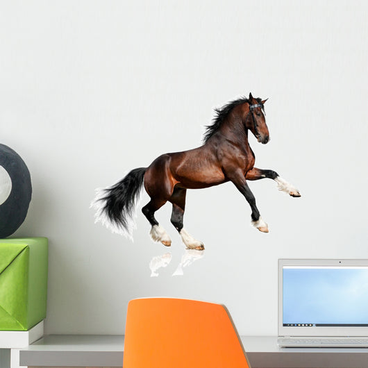Rearing Bay Horse Wall Decal