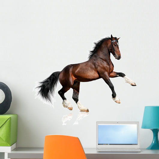 Rearing Bay Horse Wall Decal