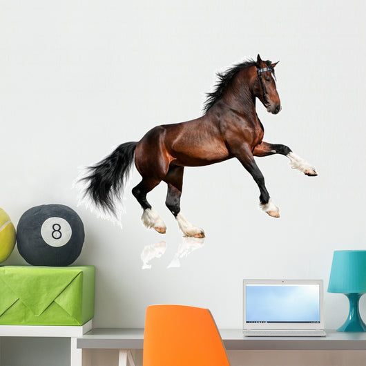 Rearing Bay Horse Wall Decal