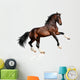 Rearing Bay Horse Wall Decal