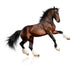Rearing Bay Horse Wall Decal