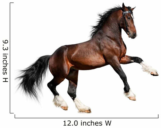 Rearing Bay Horse Wall Decal