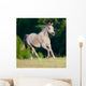 Arabian Gray Horse Gallop Wall Decal