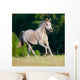 Arabian Gray Horse Gallop Wall Decal