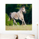 Arabian Gray Horse Gallop Wall Decal