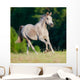 Arabian Gray Horse Gallop Wall Decal