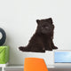 Spitz Puppy Front White Wall Decal