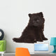 Spitz Puppy Front White Wall Decal