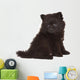 Spitz Puppy Front White Wall Decal