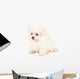 Pomeranian Spitz Puppy Wall Decal