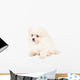 Pomeranian Spitz Puppy Wall Decal
