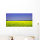 Raps 01 Wall Decal