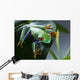 Red Eyed Frog Green Wall Decal