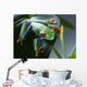 Red Eyed Frog Green Wall Decal