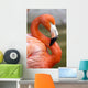 Flamingo S Wall Decal
