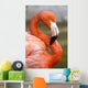 Flamingo S Wall Decal