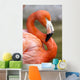 Flamingo S Wall Decal
