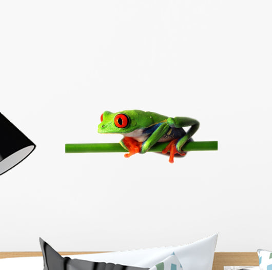 Red Eyed Treefrog Wall Decal