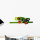 Red Eyed Treefrog Wall Decal