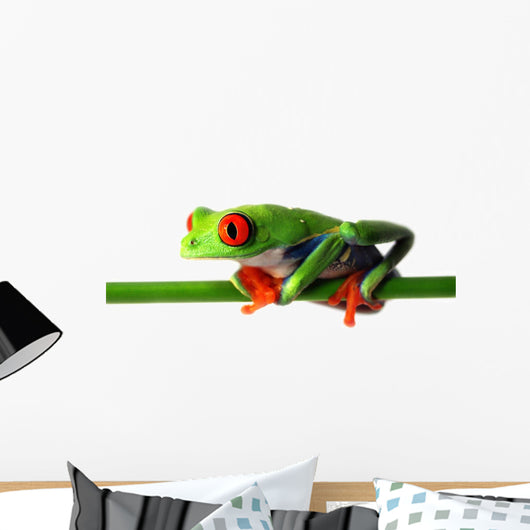 Red Eyed Treefrog Wall Decal