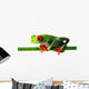 Red Eyed Treefrog Wall Decal