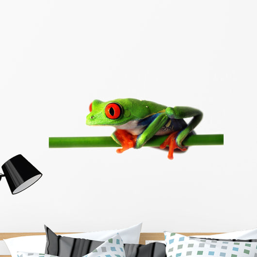 Red Eyed Treefrog Wall Decal