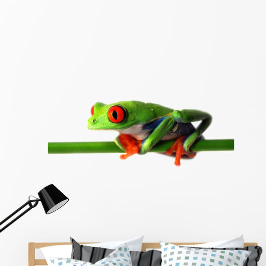 Red Eyed Treefrog Wall Decal