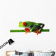 Red Eyed Treefrog Wall Decal