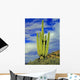 Cactus Wall Decal
