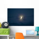 Beautiful Half Moon Wall Decal