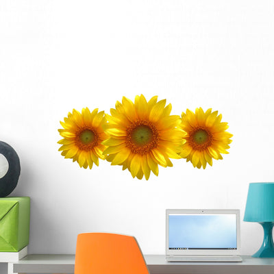 Three Sunflower Wall Decal shown on a wall