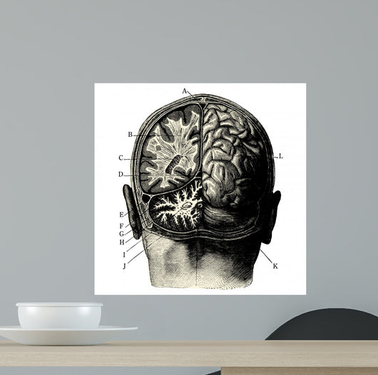 Cerveau Wall Decal