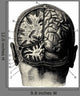 Cerveau Wall Decal