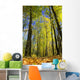 Trees Wall Decal