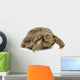 Reptile Turtle Animal Slow Wall Decal