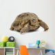 Reptile Turtle Animal Slow Wall Decal