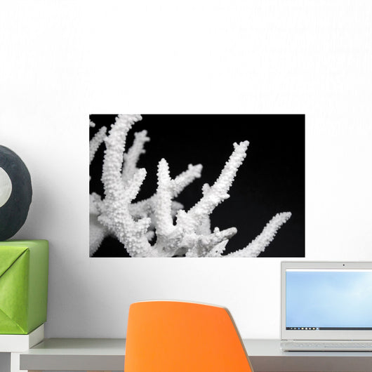 Dried Coral Wall Decal