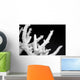 Dried Coral Wall Decal