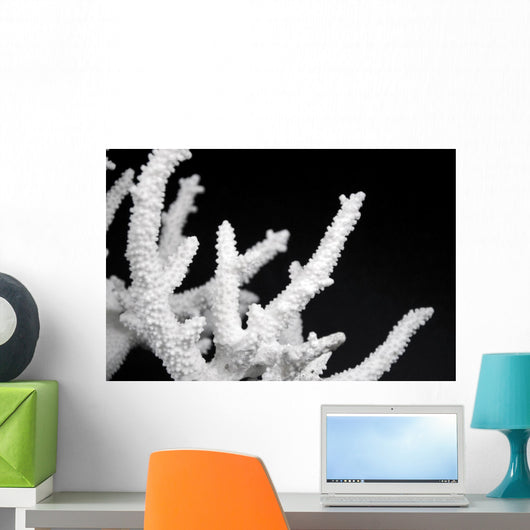Dried Coral Wall Decal