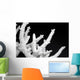 Dried Coral Wall Decal