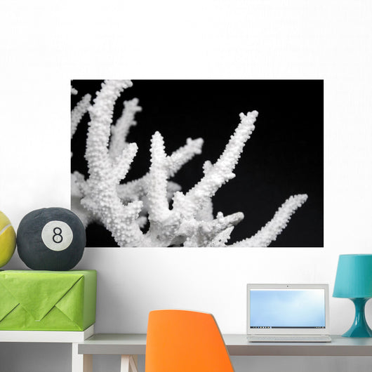 Dried Coral Wall Decal