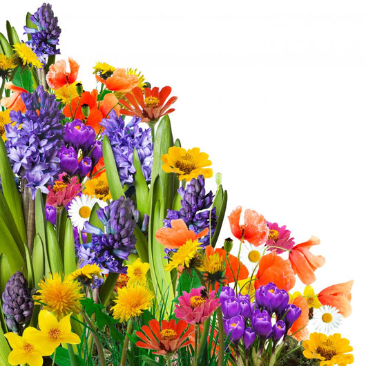 Spring Flowers Wall Decal
