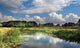 Gorgeous Stream Holland Wall Decal