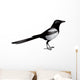 Magpie Bird Realistic Vector Wall Decal