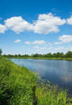 Bank River Wall Decal