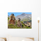 Alpine Marmot Marmota Marmota Wall Decal