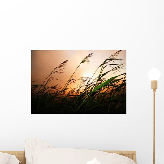 Grass Blowing Wind Sunset Wall Decal