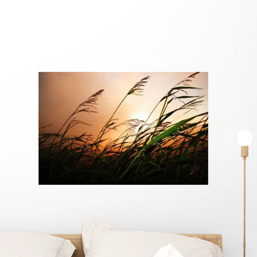 Grass Blowing Wind Sunset Wall Decal