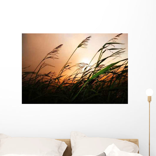 Grass Blowing Wind Sunset Wall Decal