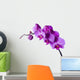 Orchid Wall Decal